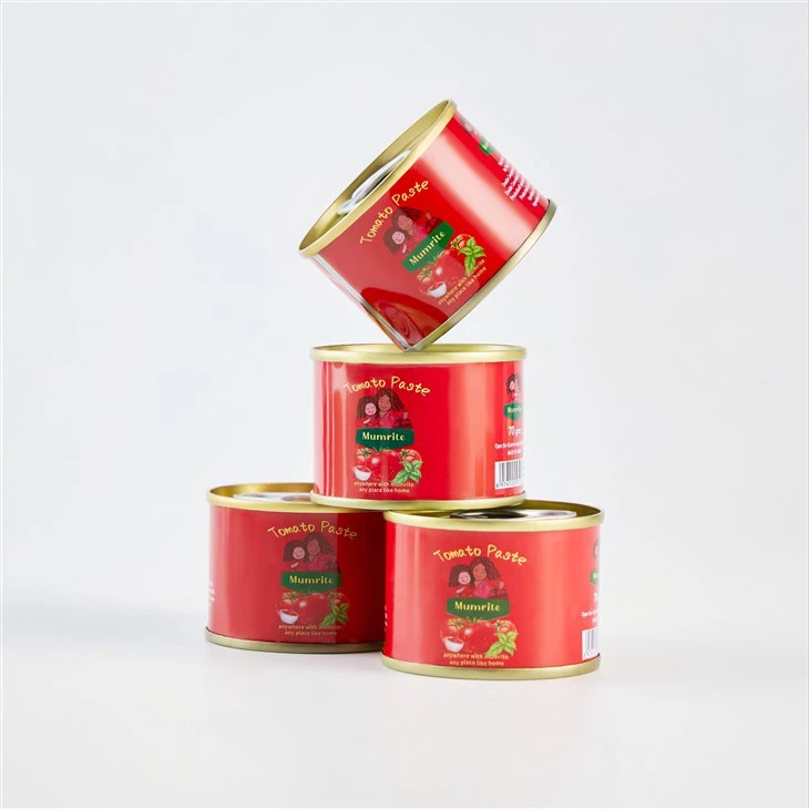 Tomato Paste 400g price