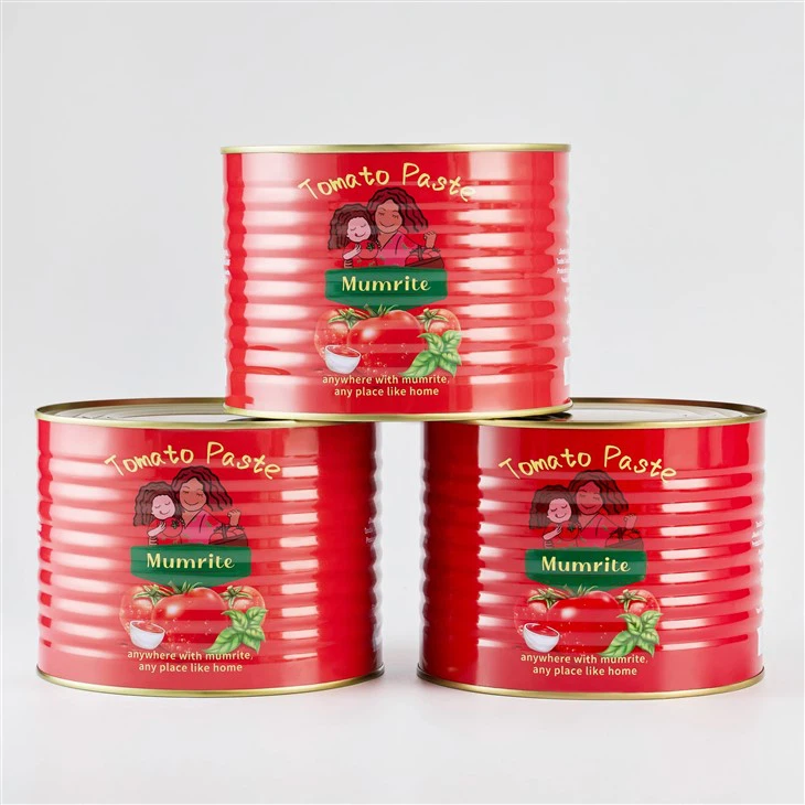 Tomato Paste 400g best